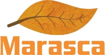 Marasca